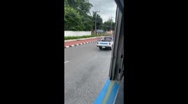 Two pet dogs ride on pickup truck roof in Thailand