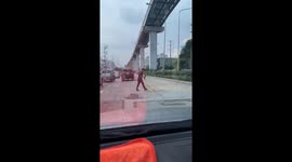 Passing driver rescues injured kitten on busy road