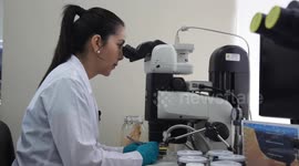 Peru: Scientists explore hidden biodiversity in Peruvian sea amid funding challenges