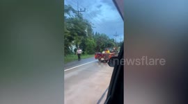 Pet dog rides on the bonnet of moving car