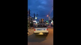 Pet dogs enjoy wind blowing throough fur on pickup truck roof