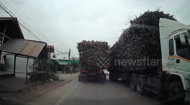 Freshly harvested sugarcane falls from truck and hits oncoming car