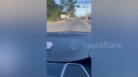 Wild snake emerges on moving car's windscreen in Thailand