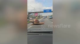 Snail crawls across windscreen of moving car
