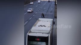 Cars honk horns as scooter rider carrying FENCE blocks two lanes of traffic