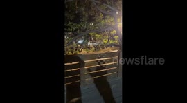 Israeli forces storm the town of Idhna, west of Hebron