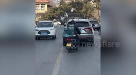 Flock of pigeons follows motorcycle carrying caged bird