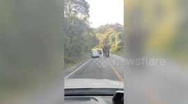 Massive curious elephant approaches passing vehicles in Thailand