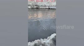 Daredevil waterskis down road as melting snow turns to slush