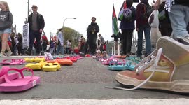 US: Pro-Palestine activists stage powerful demonstration in Washington amid nationwide anti-Trump protests (2)