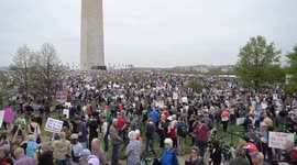 US: Hundreds of thousands protest Trump, Musk in nationwide 'Hands Off' demonstrations (2)