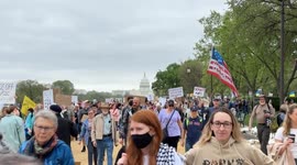 US: Hundreds of thousands protest Trump, Musk in nationwide 'Hands Off' demonstrations