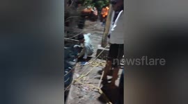 Social organisation rescued a cow fallen in the drain in Shahdol, Madhya Pradesh