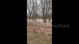 US: Indiana Declares Emergency Amidst Severe Flooding