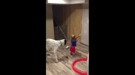 Adorable dog and two year old playing