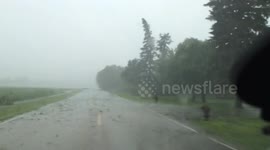 Tree Damage and Flooding