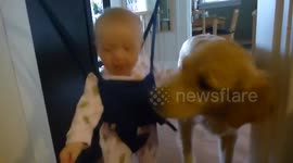 Dog won't stop 'kissing' baby girl