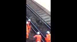 Forest Hill sinkhole filled with ballast by JCB