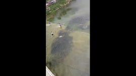 Crowds 0f  fish appear in the river after  heavy rains and flooding  in China