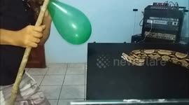 Amazon activist performs balloon stunt with large snake
