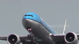 Bird brushes plane cabin on take off.