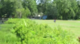Light aircraft crashes into house in Connecticut, USA
