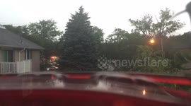 Tiny hummingbird braves thunderstorm