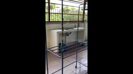 Wild snake does a 'pole dance' on clothes drying rack