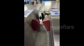 China: The Struggles of Long Nails