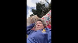 Yellow Lab Starts Pillow Fight With Owner
