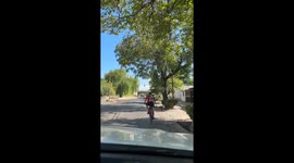 Backpack Bicycle Pup