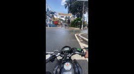 Dog Slips Into Man On Rainy Street