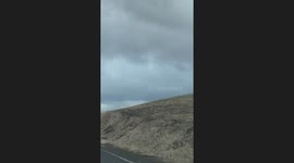 Massive Elk Herd Crosses Street