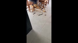 Bulldog Ruins Expensive Furniture