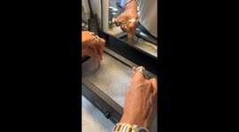 Custom eyewear glow-up hits 41 million views