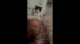 Still figuring it out – Cat cautiously investigates newborn sibling