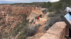 Dog rescued from 100ft  fall into canyon in Colorado