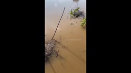 Ohio River level rises amid heavy rain in Cincinnati