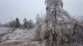Canada: Major Ice Storm Leaves Thousands Without Power in Ontario 2