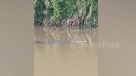Missing father, 49, found dead from horror crocodile attack in Indonesia