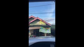 Cat clings to TV aerial after surprise tail bite in Bengkulu, Sumatra, Indonesia