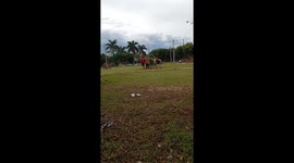 Friends spin on merry-go-round in Santa Rita, Paraguay