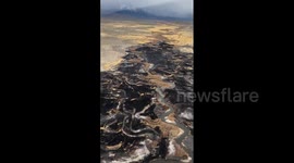 US: Aerial Footage Shows Burned Area by Silver Fire in Eastern California