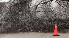 Canada: Major Ice Storm Leaves Thousands Without Power in Ontario 3