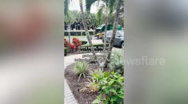 Boy bids farewell to bin man after four years of weekly greetings