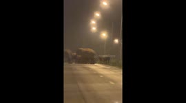 Herd of elephants block road in the middle of the night