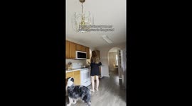 Service Dog Brings Water Bowl To Flaming Cooking Pot