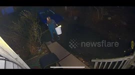 Falling Tree Narrowly Misses Woman in Rockaway