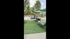 Monkey Troop Chase Tourist Out Of Pool