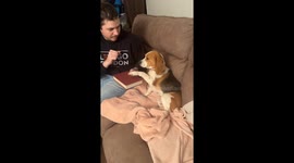 When Dad Makes You Swear You Won’t Be Bad